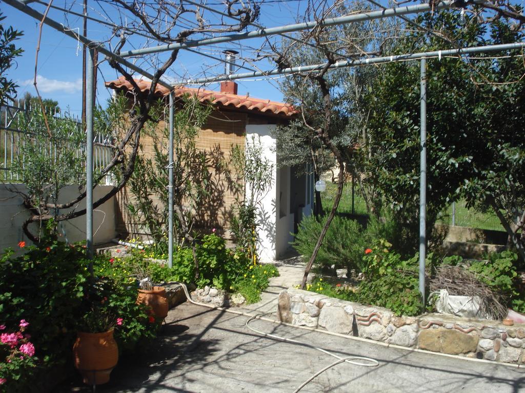 Elea Guesthouse Galaxidi Ngoại thất bức ảnh