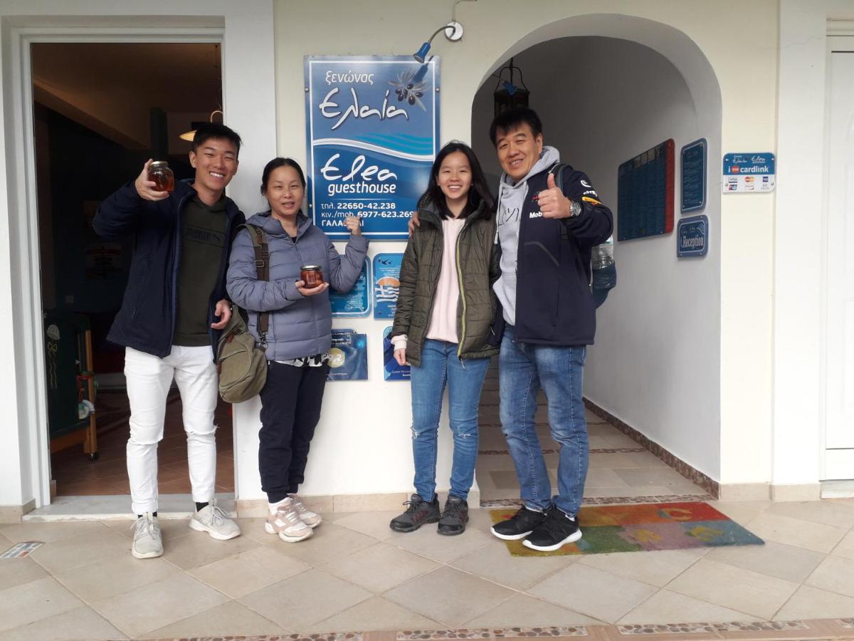 Elea Guesthouse Galaxidi Ngoại thất bức ảnh